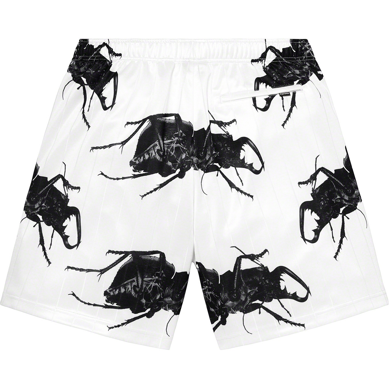 Beetle Short view 9
